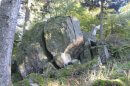 De Bruchberg au piton de Falkenstein